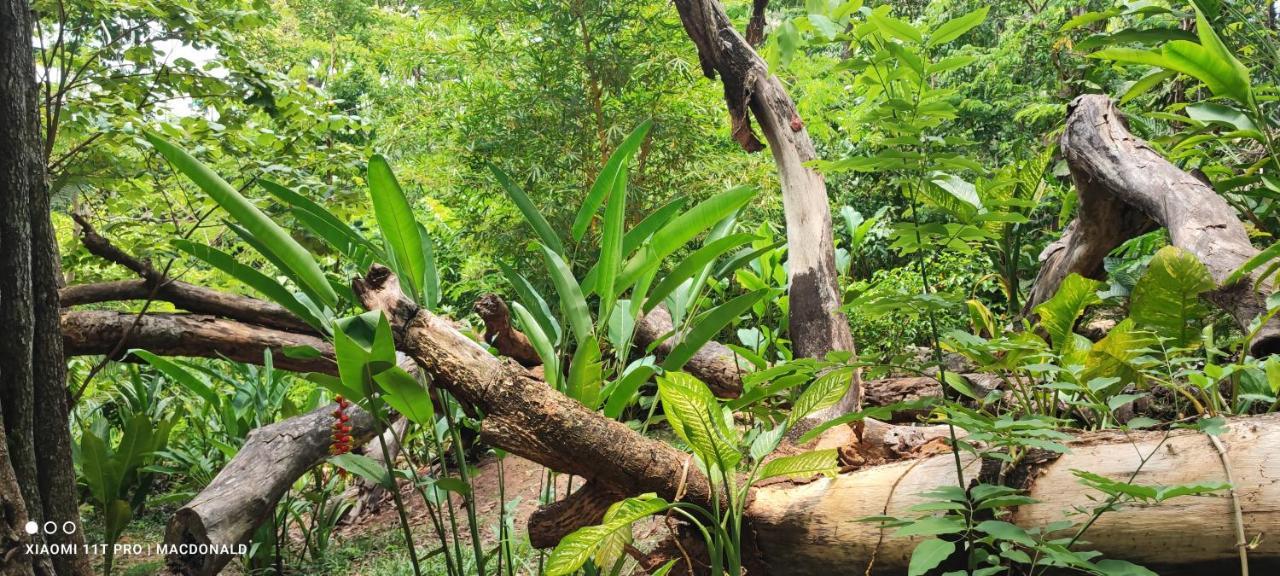 Casa Hadassa La Canada Palenque Eksteriør bilde