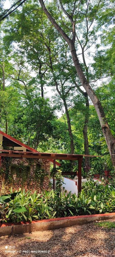 Casa Hadassa La Canada Palenque Eksteriør bilde