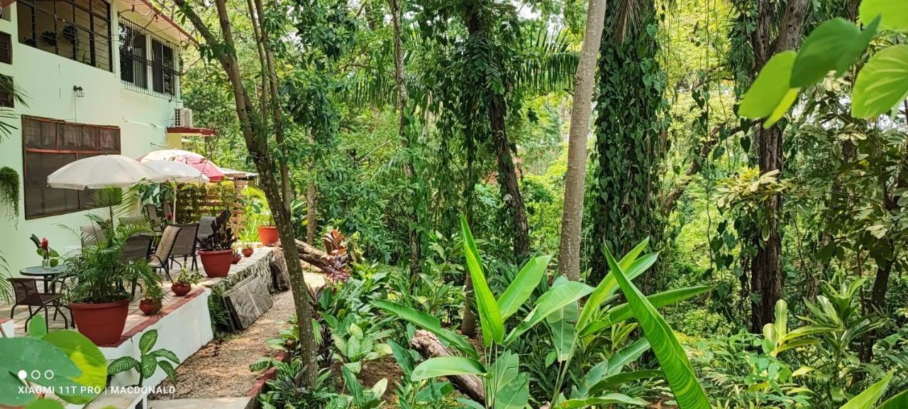 Casa Hadassa La Canada Palenque Eksteriør bilde